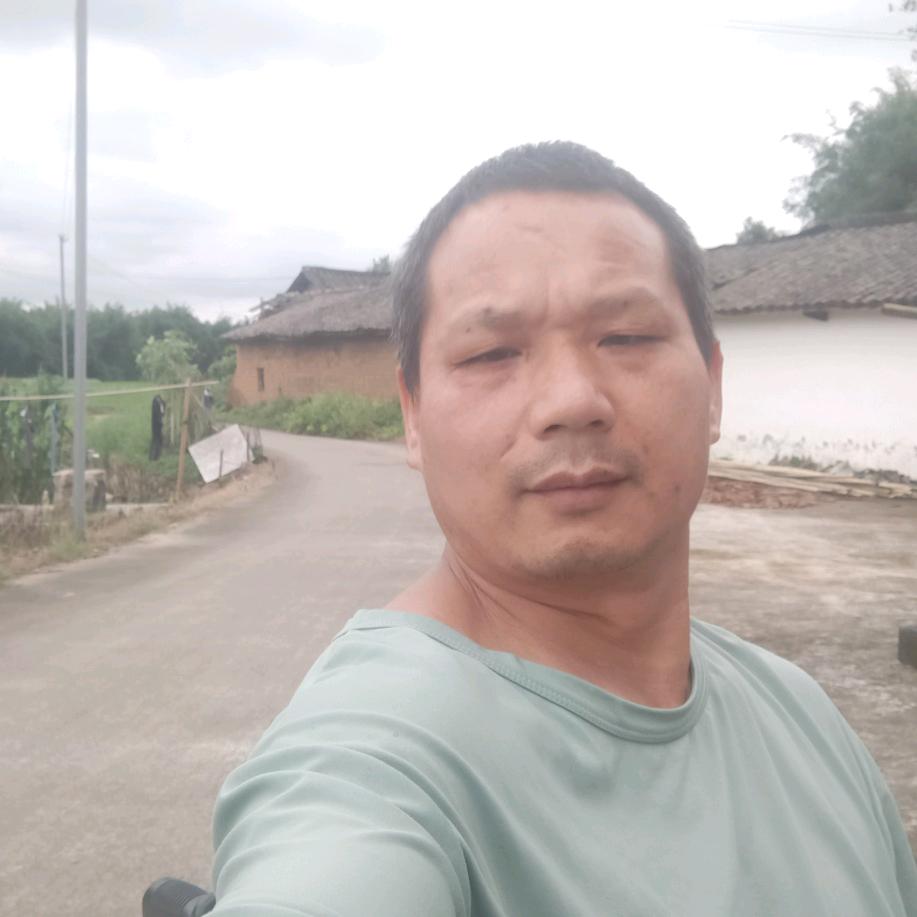 小菲爸