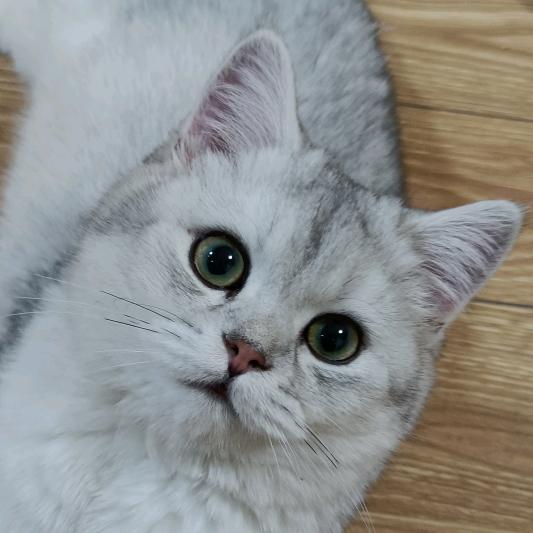 小漂亮^~^