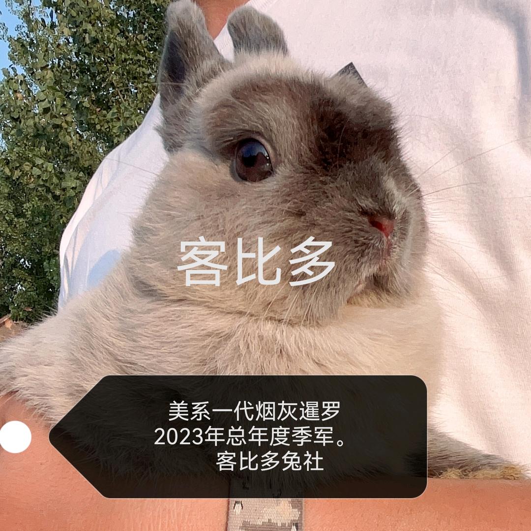 萌宠乐土小铺