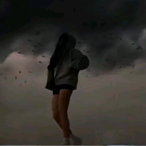 宇浩.段