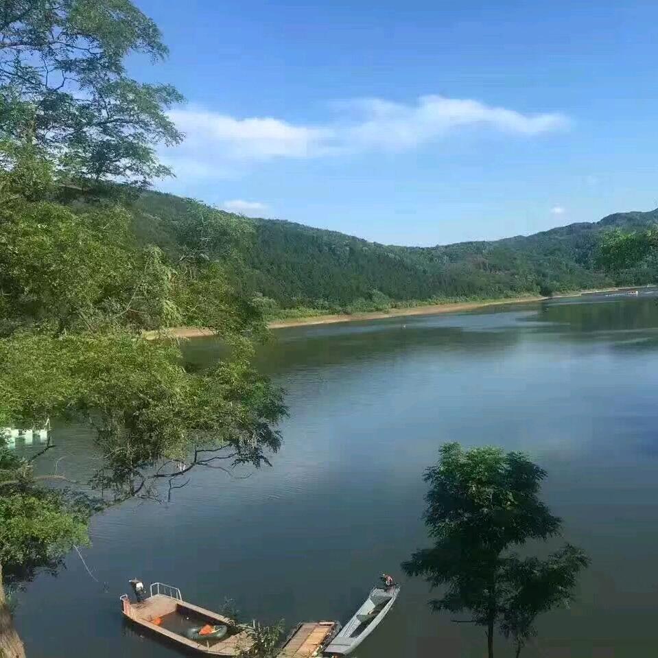 消失的🎸