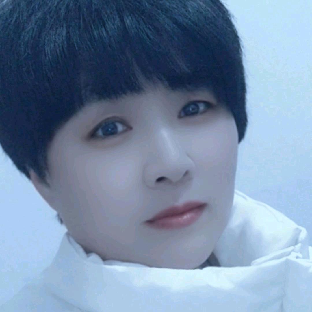 诚信煤碳