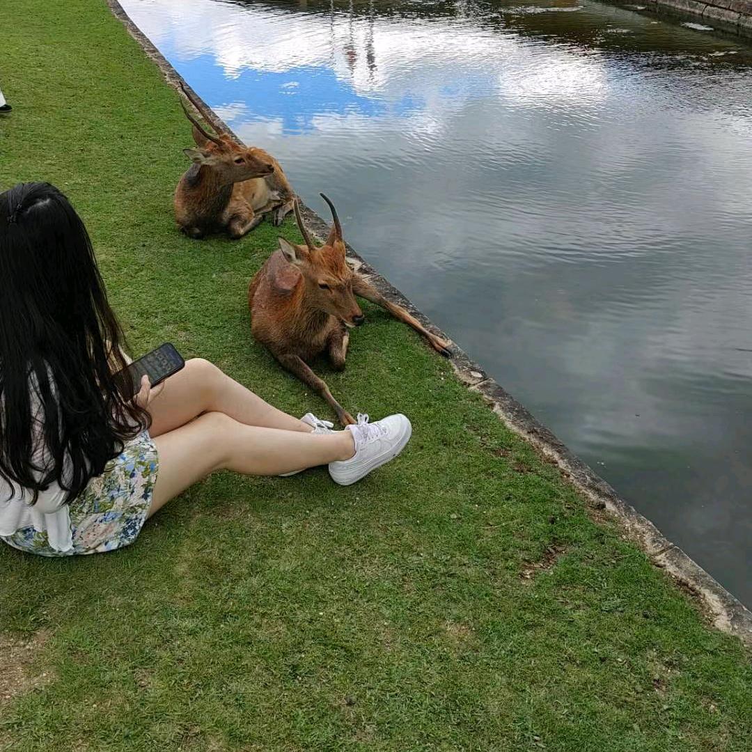一个达不柳🌸