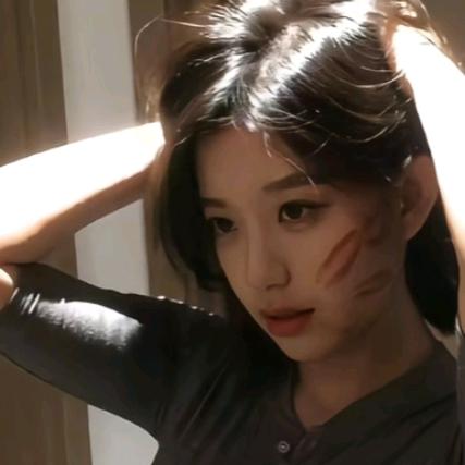 是雅婷鸭