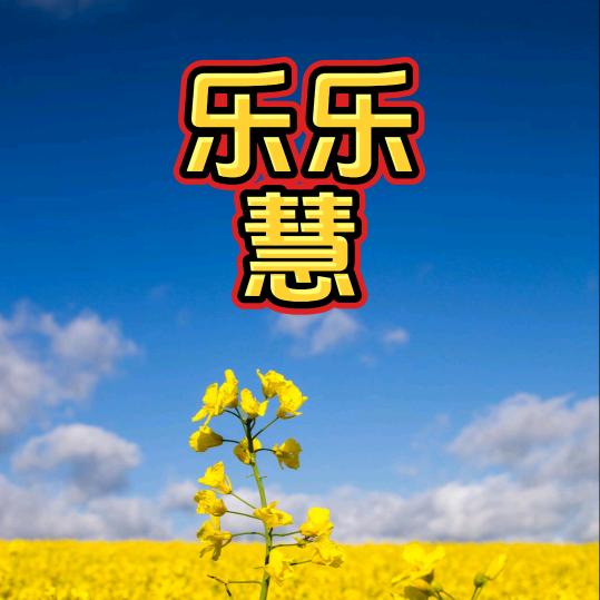 乐乐慧