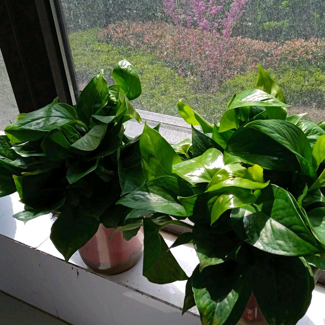 家和万事兴，幸福安康！