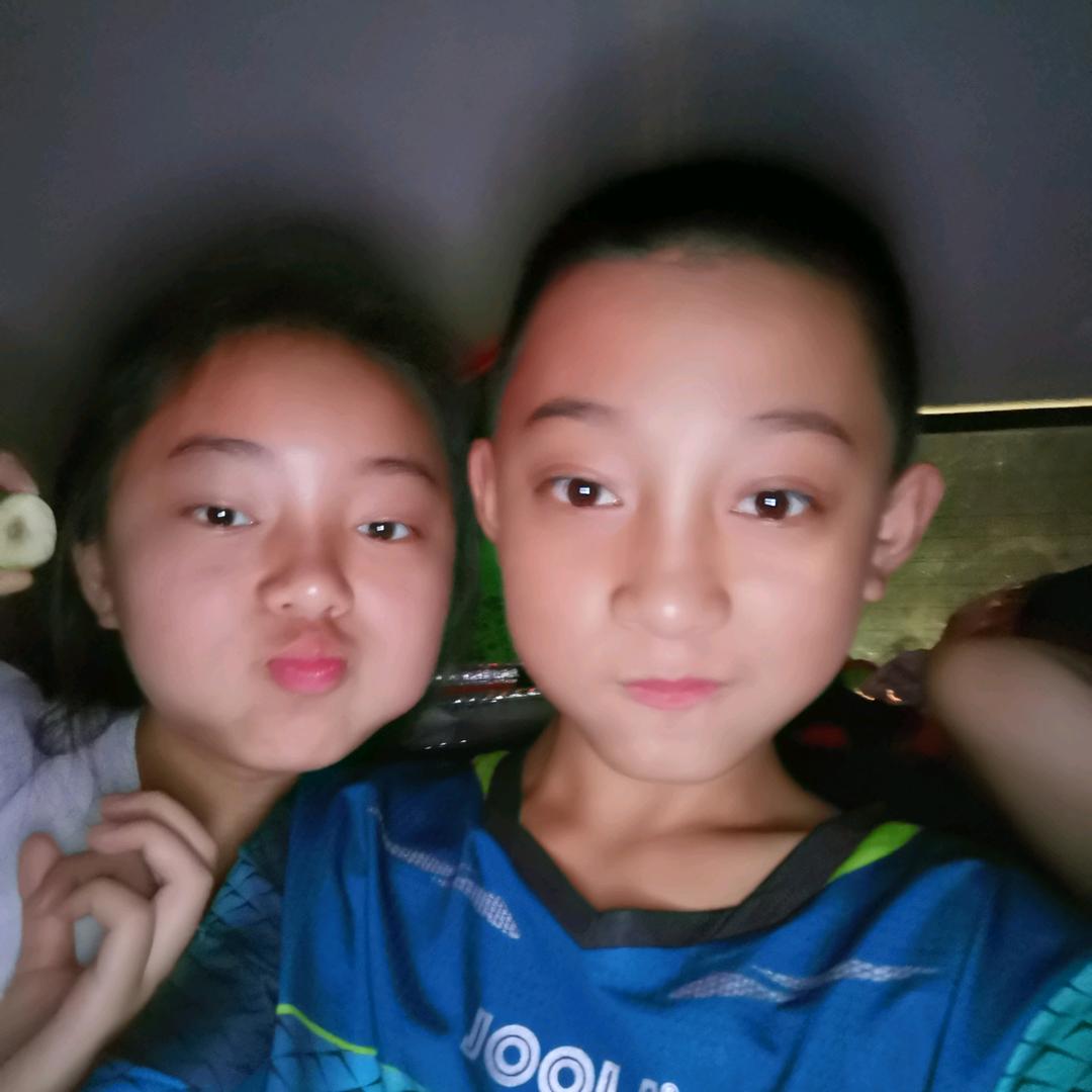 大量批发白条鹅