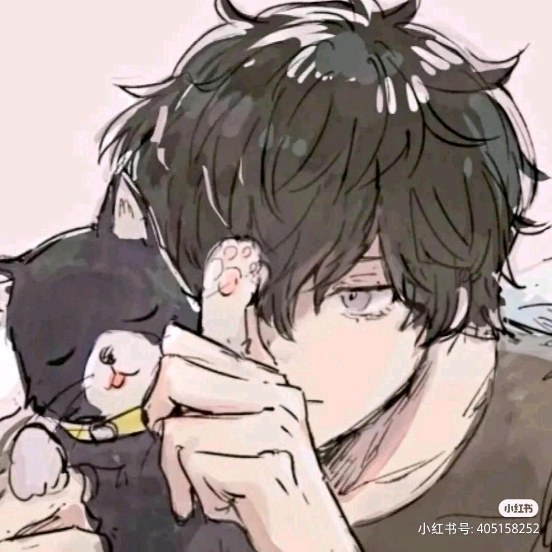 左桐坡的猫