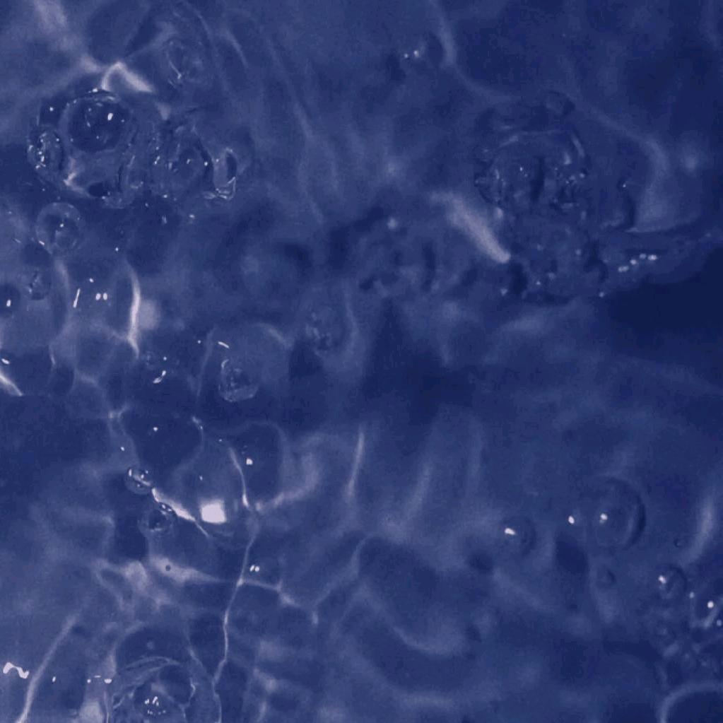 不会咩咩的羊🐑