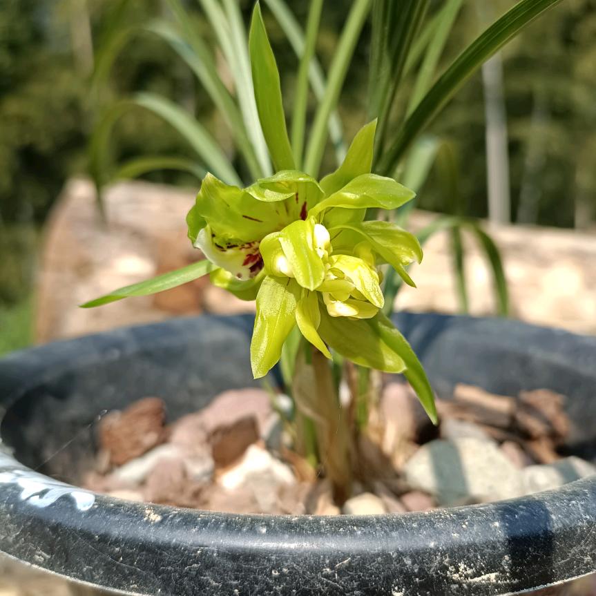 勤劳不一定能致富