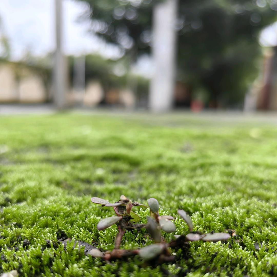 下雨天适合睡觉