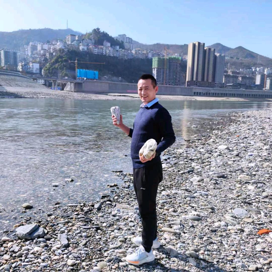 赵歌