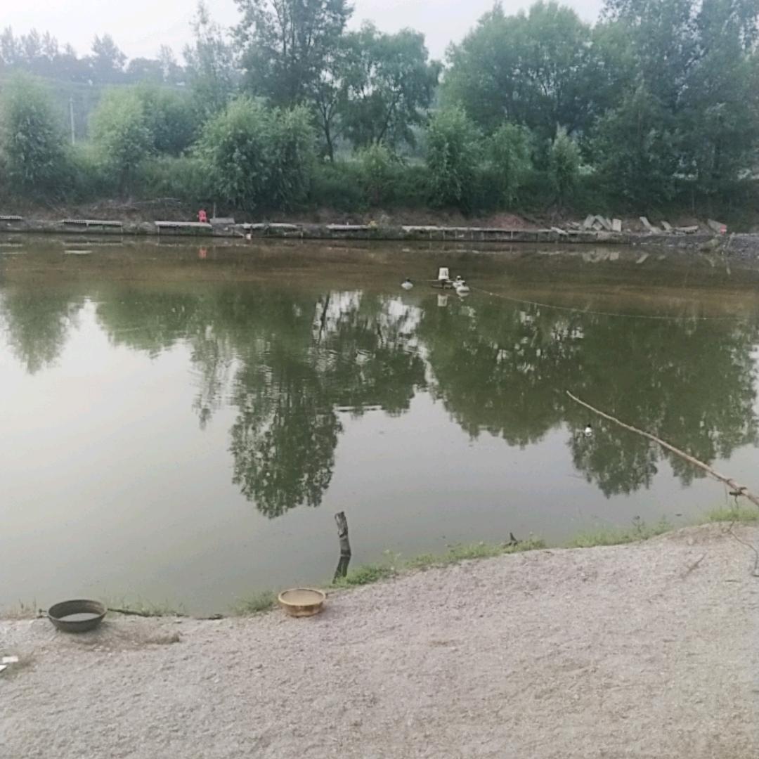 屯留区大军渔具