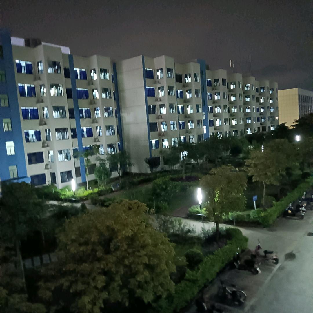 不变的诺言