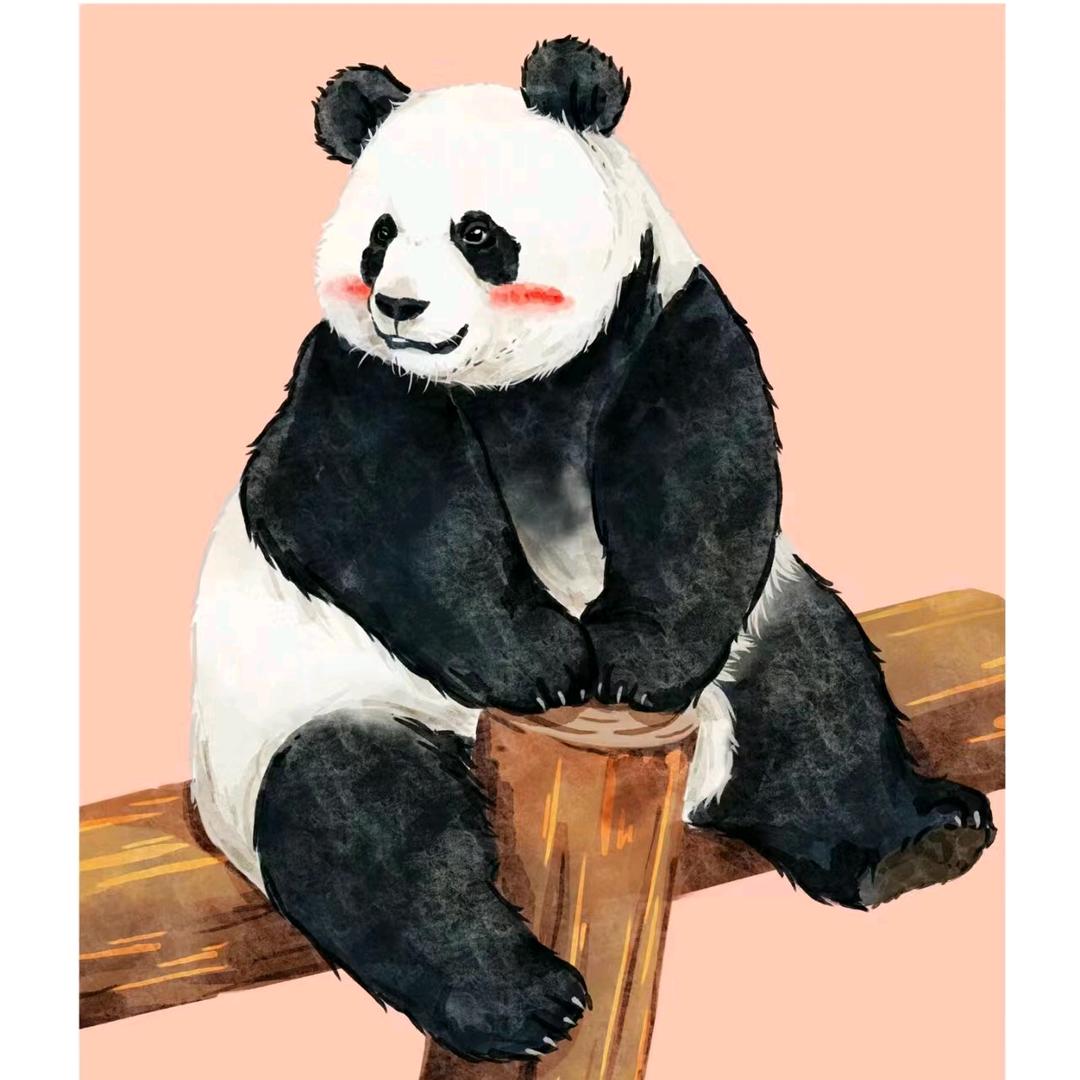 南山竹海大熊猫