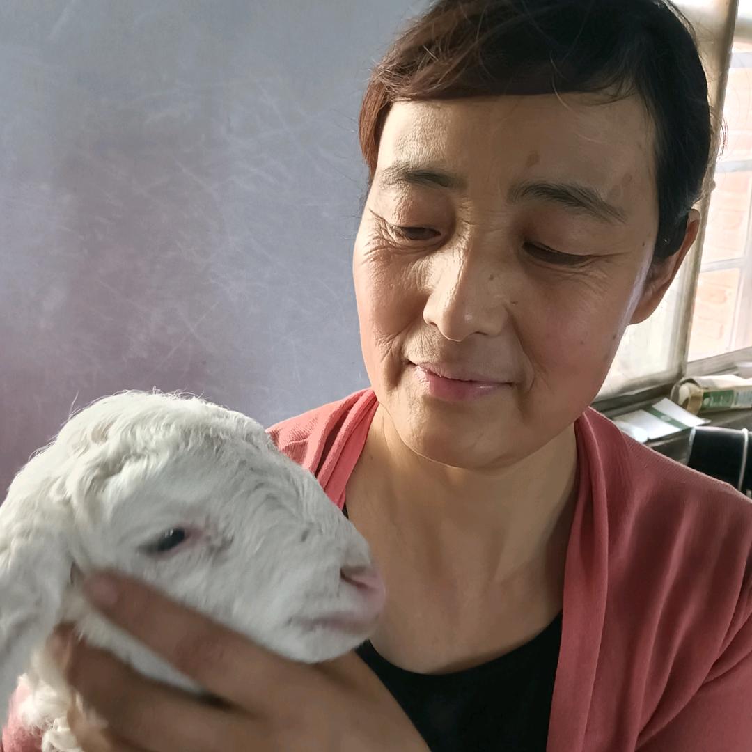 辽宁新农人张姐