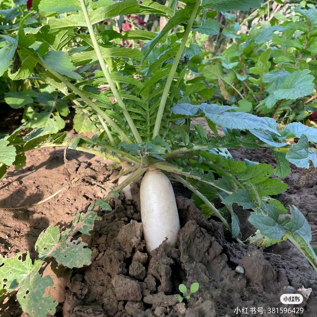 重庆市优潼供应链管理有限公司