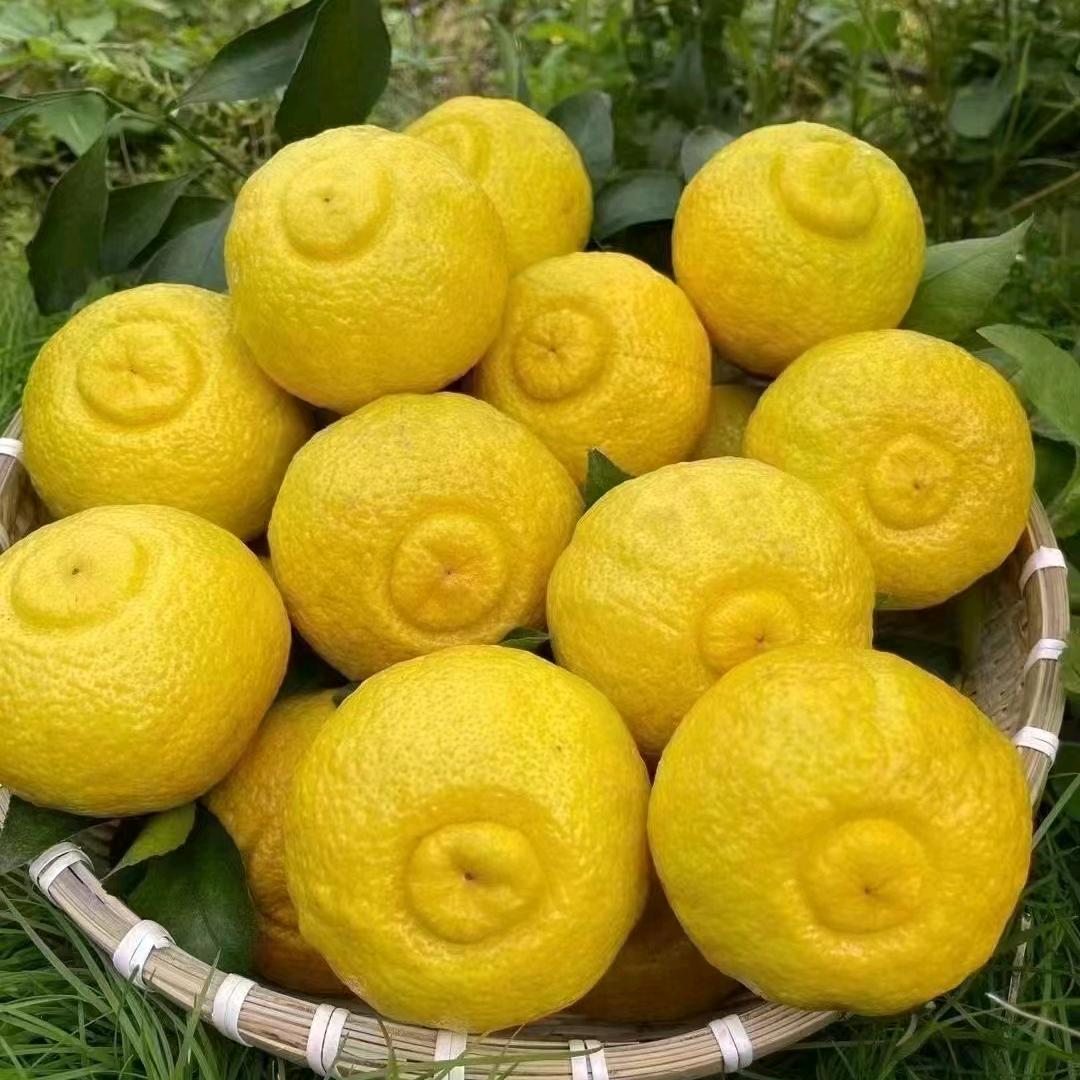 湘情优选