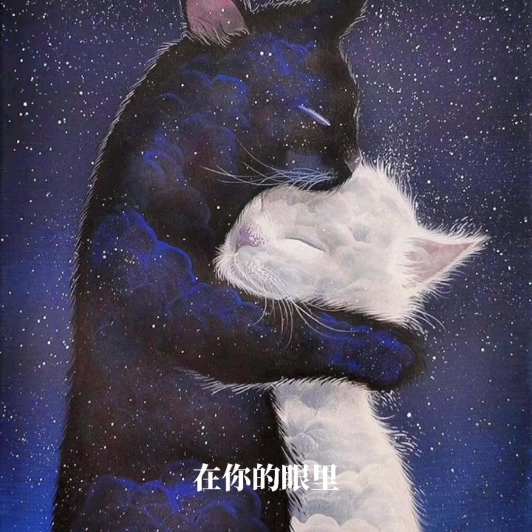 幸运草♥