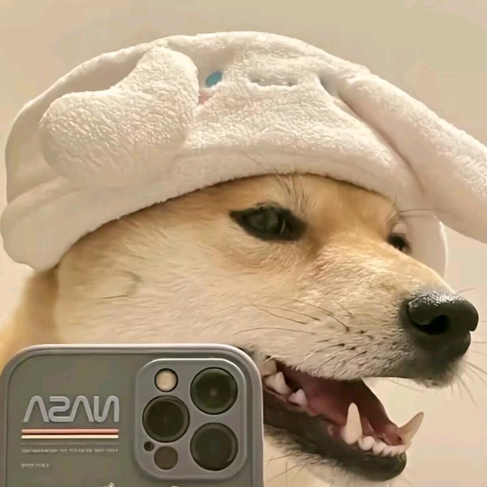 爱吃土豆的土豆