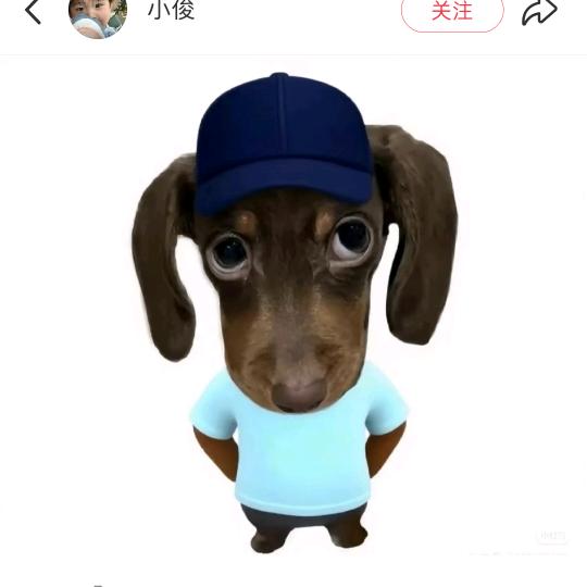 絮雪漫南城_