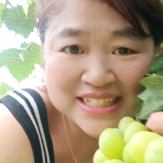 金永莉人力