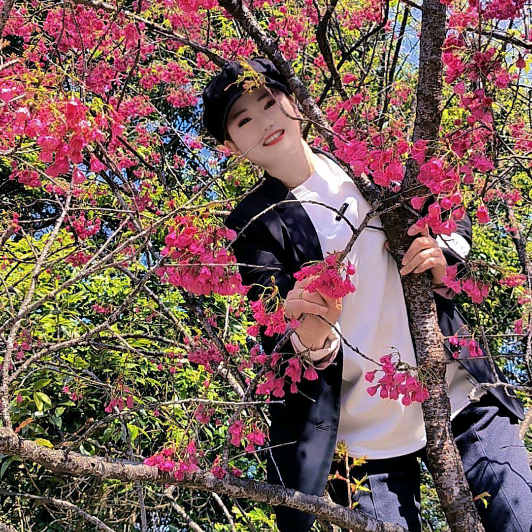 莲花朵朵我是开心果 1516783573