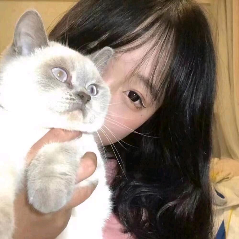 驾培小月