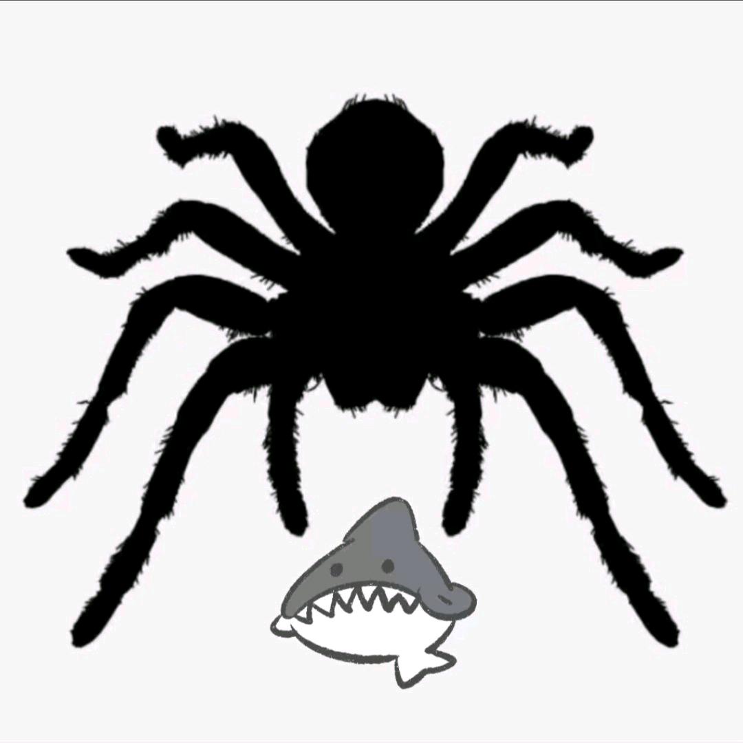 🕷