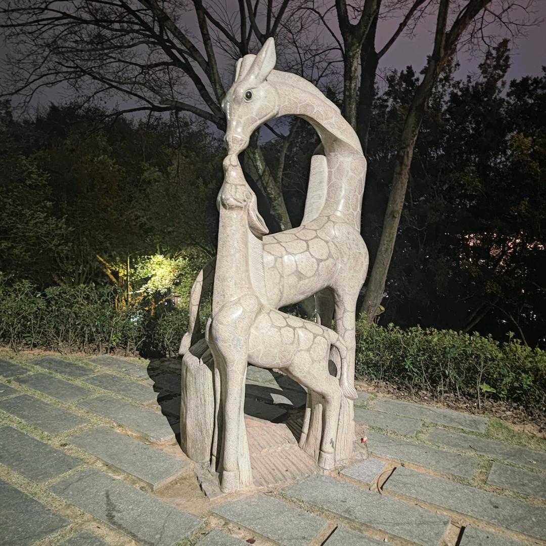 饰品十橱窗好物（个体工商户）