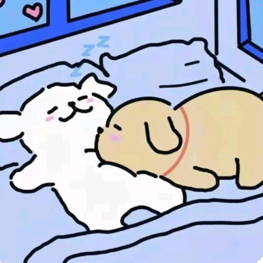 我不是二传.