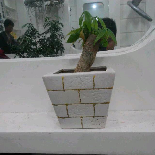 @小小杰(ღ♡‿♡ღ)