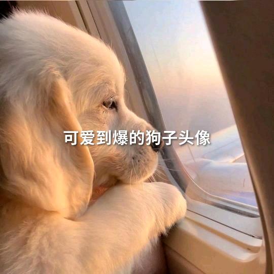 等候