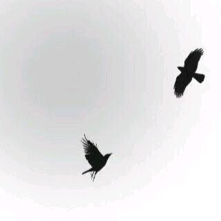 ZOOM_