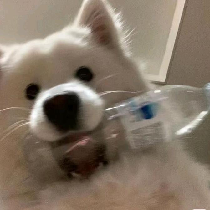 江月