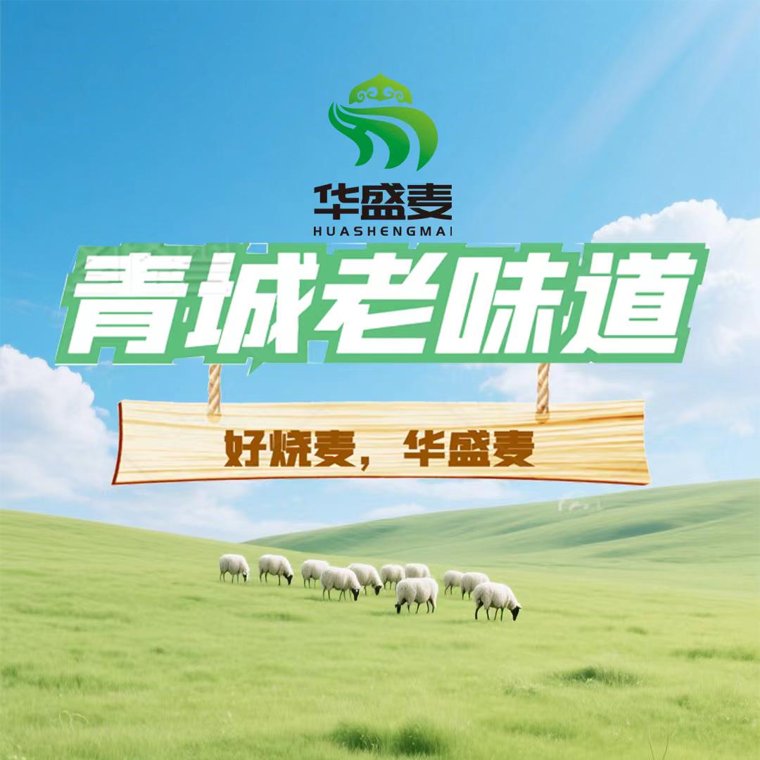 华盛麦草原美食特产