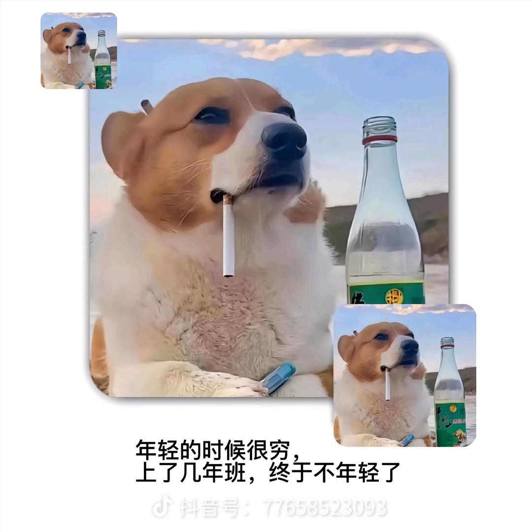 ও🕊ꦿꦼ刘住健康꧔