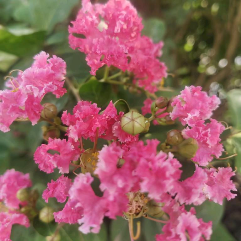有就懂