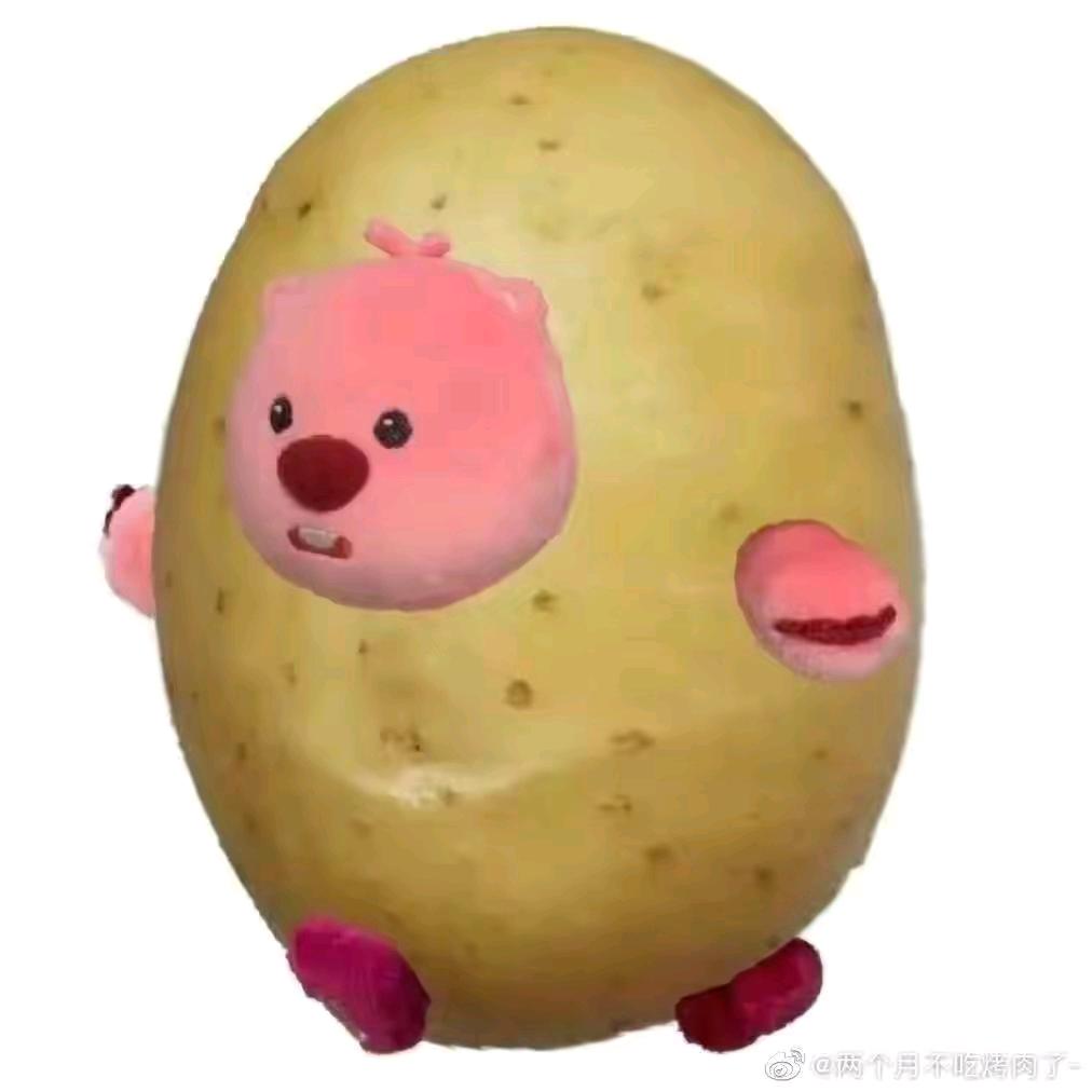 会跑的海狸土豆
