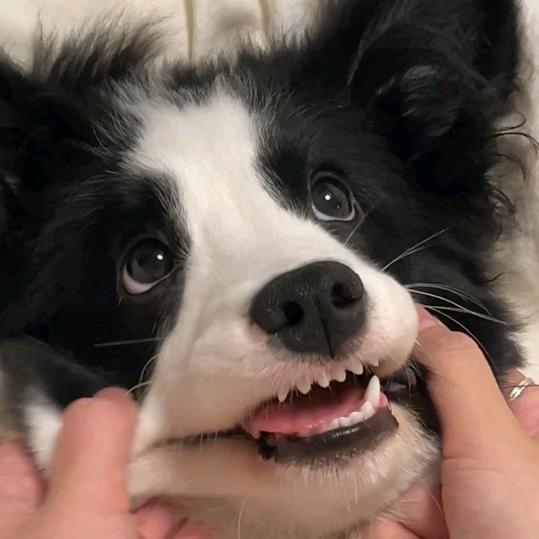 升华是我老弟er～