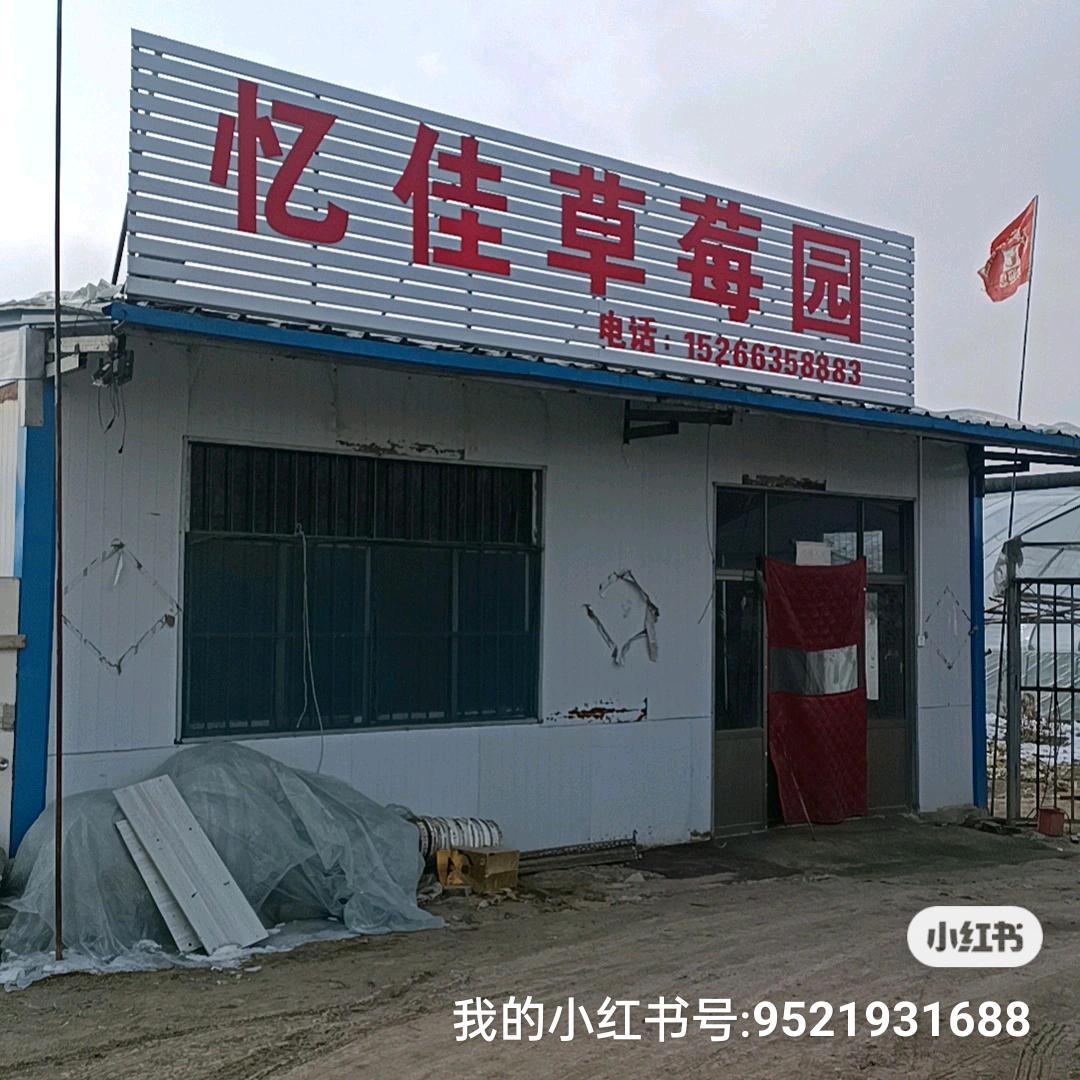 忆佳草莓釆摘园