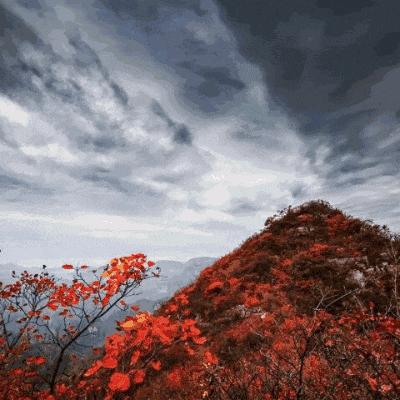 ঞོ沉默的金꧔ꦿ