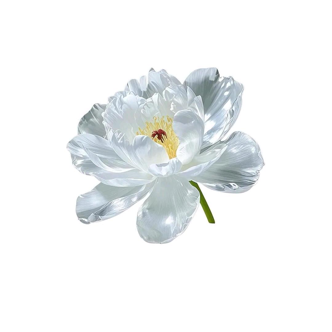 当s把低温蜡偷换成热熔胶被m暴揍