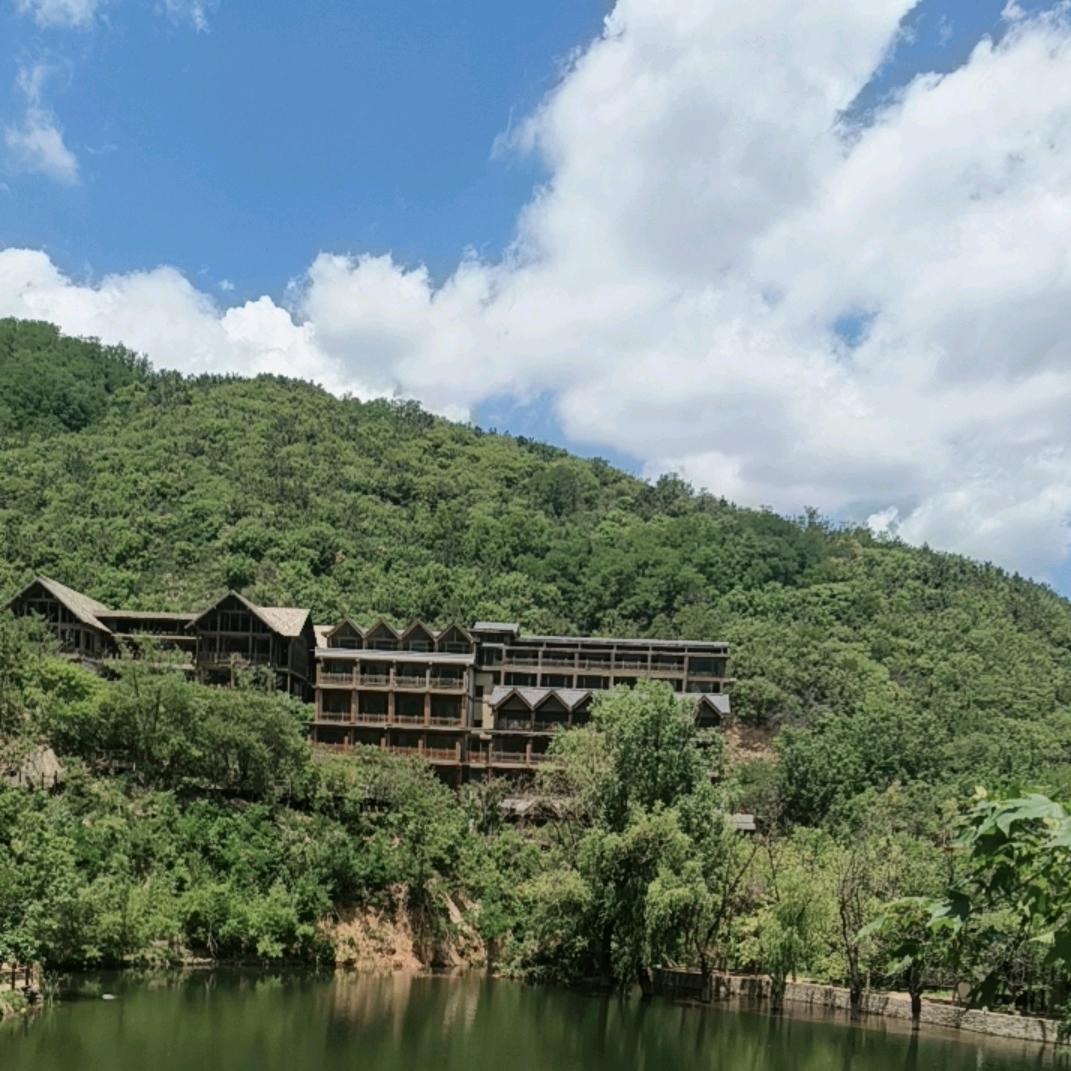 小莲子呀