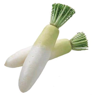 萝卜屁