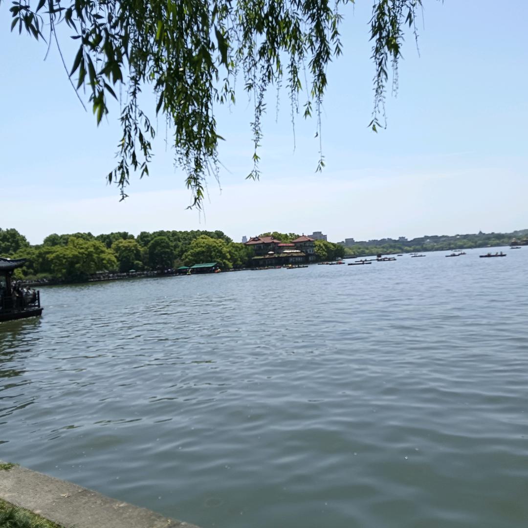 一路有她