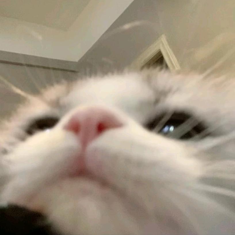 爱自己是终身浪漫的开始