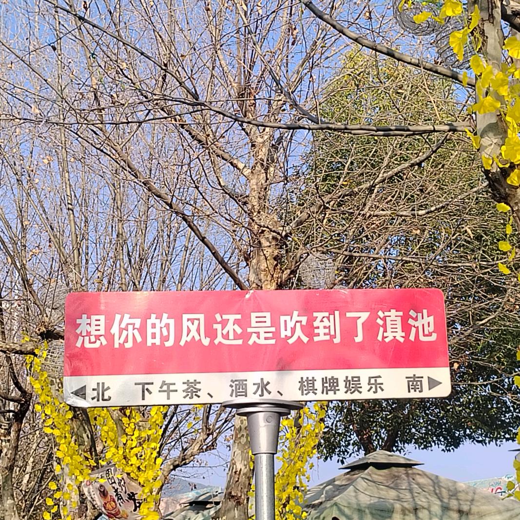 @小杨哥（涅盘重生）