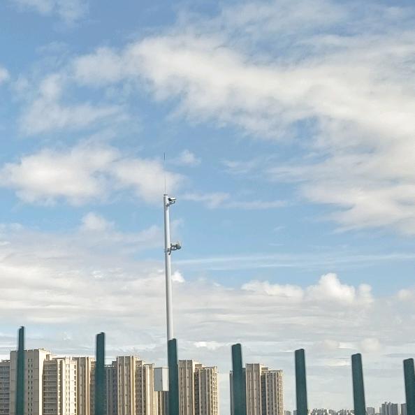 花海🌸拾梦