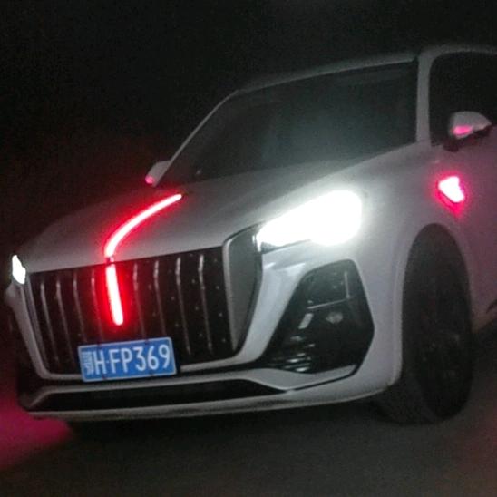 会流泪的鱼《令狐》